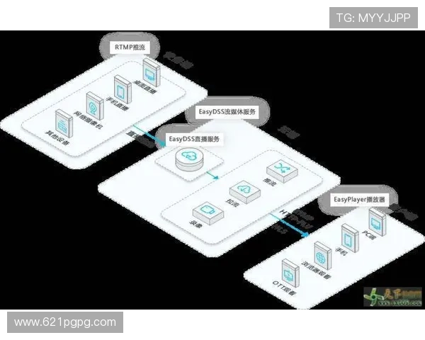 电视直播回播功能全面解析与使用指南